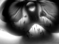 CIO Guide to Social Media